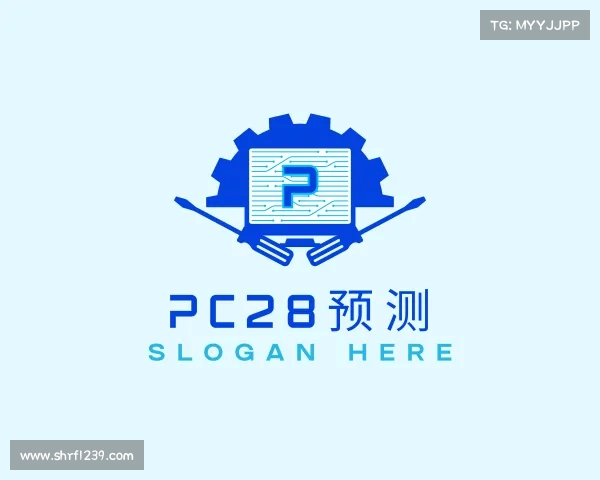 认识pc28预测